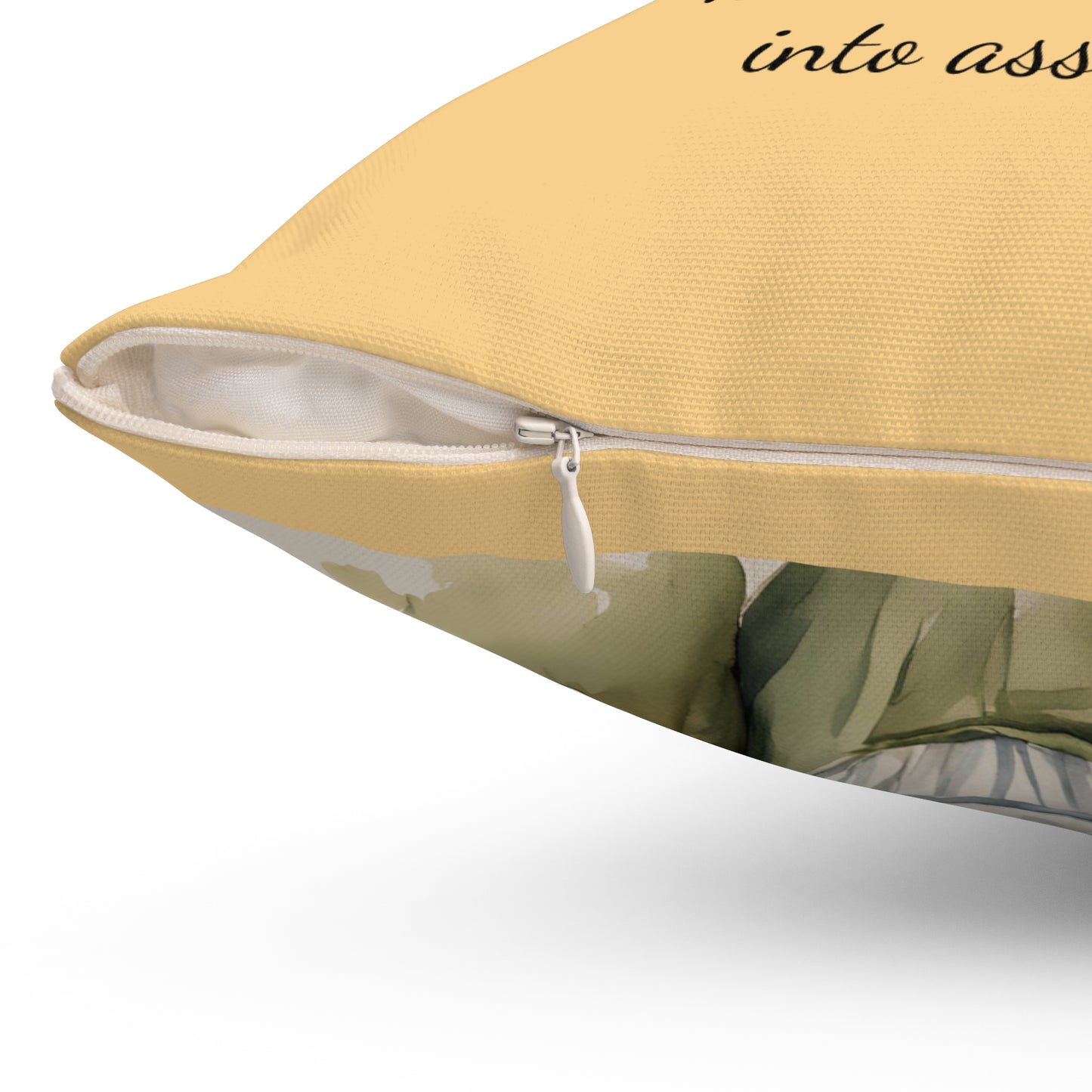 Literary Pillow, Pride and Prejudice, Lydia Bennet, Regency, Jane Austen, Austenite, Cushion, Home Decor, Book Lover Gift, Reading Nook