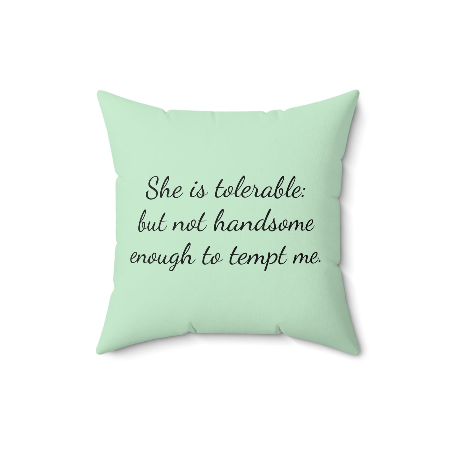 Literary Pillow, Pride and Prejudice, Austenite, Jane Austen, Regency, Elizabeth, Darcy, Cushion, Home Decor, Reading Nook, Gift for Book