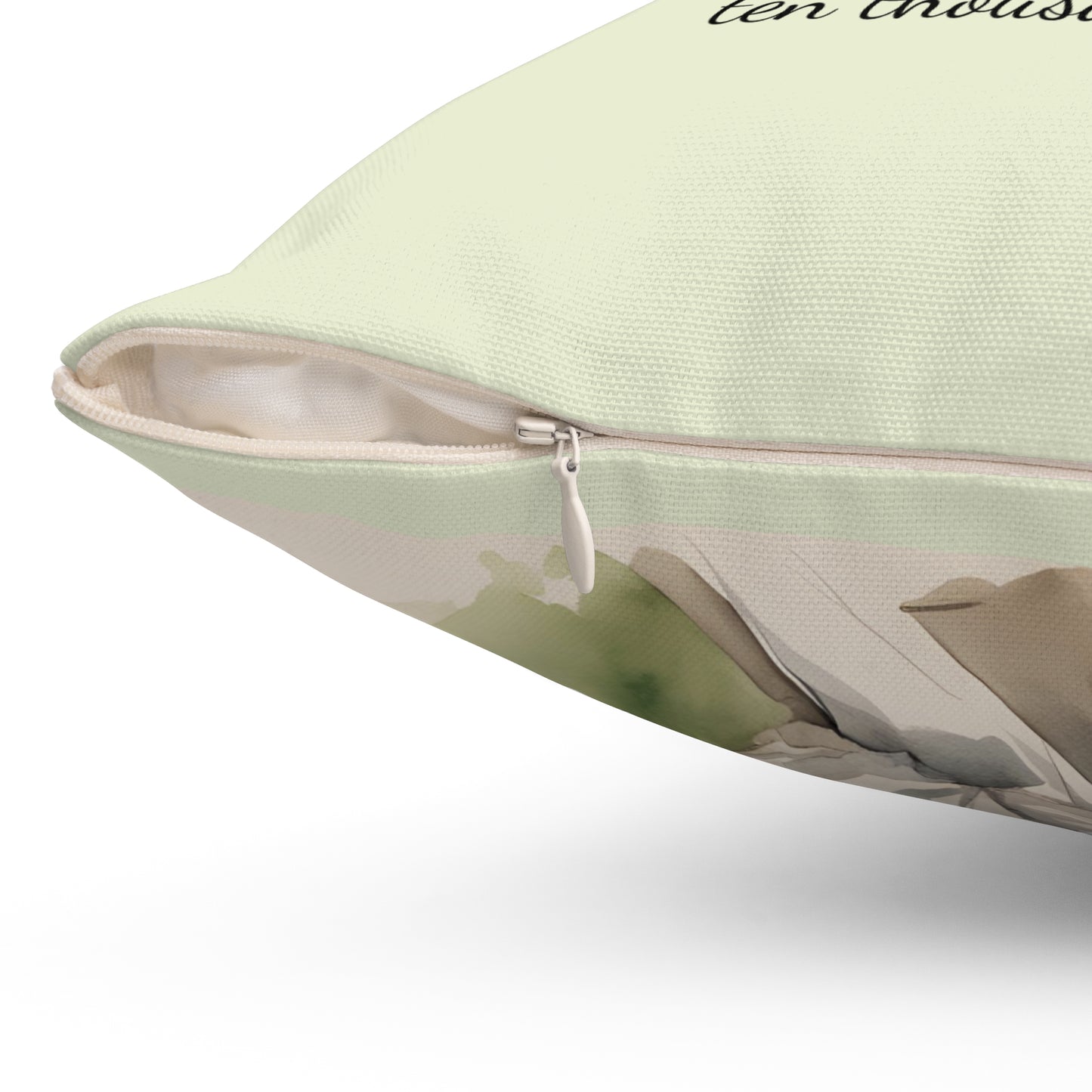Literary Square Pillow, Darcy Pride and Prejudice Austenite Regency Book Nook Library Cushion, Home Decor, Reading Gift, Literary Fan, Book