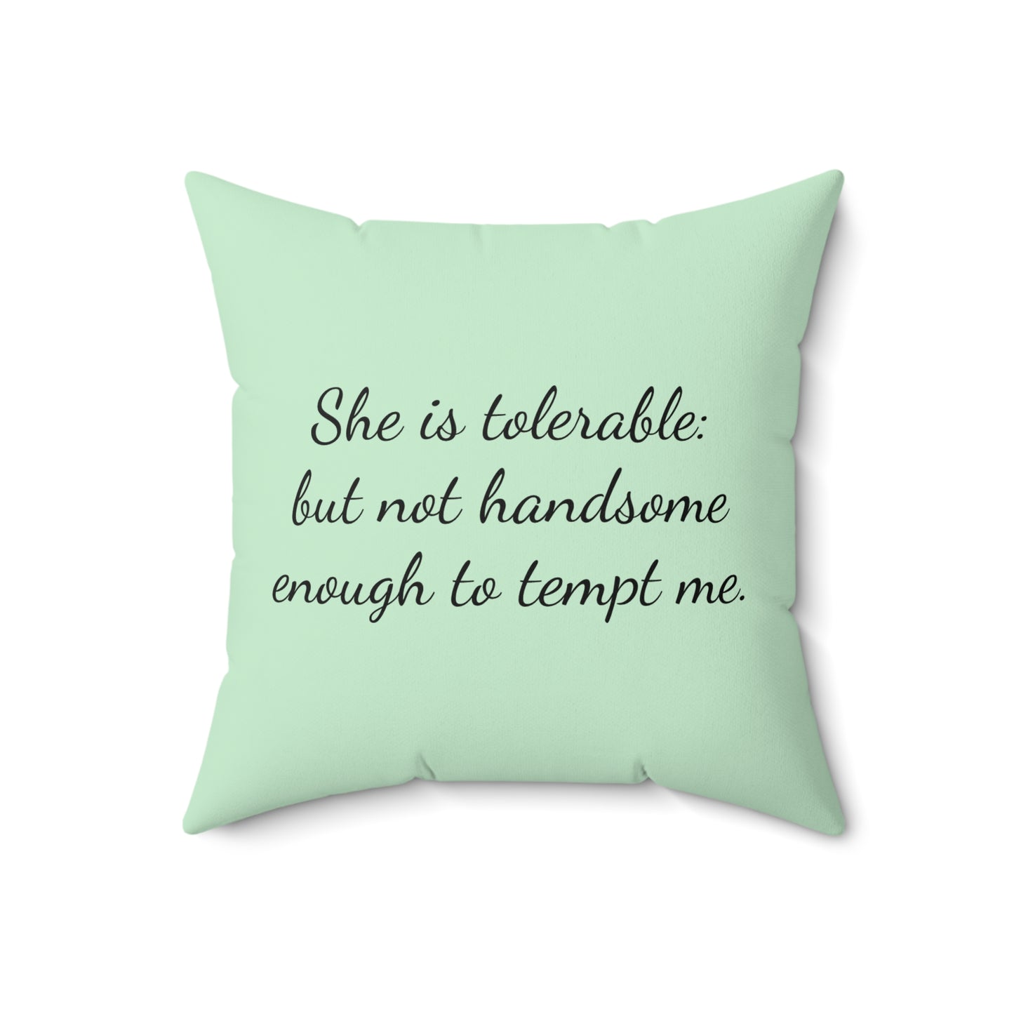 Literary Pillow, Pride and Prejudice, Austenite, Jane Austen, Regency, Elizabeth, Darcy, Cushion, Home Decor, Reading Nook, Gift for Book
